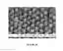 Fig. 15 - Slippery surfaces with high pressure stability, optical transparency, and self-healing characteristics