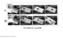 Fig. 31 - Slippery surfaces with high pressure stability, optical transparency, and self-healing characteristics