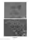 Fig. 43 - Slippery surfaces with high pressure stability, optical transparency, and self-healing characteristics