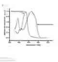 Fig. 06 - Polymer and organic solar cell including same