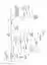 Fig. 15 - Valve assembly for machine fluid operations