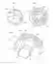 Fig. 04 - Mixer and dispensing device