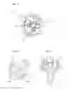 Fig. 06 - Mixer and dispensing device
