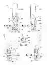 Fig. 06 - Triple cutter router bit