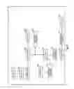 Fig. 08 - Sheet manufacturing apparatus