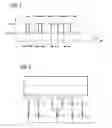 Fig. 04 - Roll casting method with cryogenic cooling of casting rolls