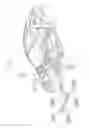 Fig. 02 - Vehicle body structure