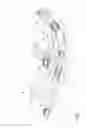 Fig. 02 - Case turner conveying system