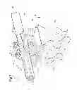 Fig. 02 - Method and device for the transfer of piece goods to a conveying installation