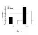 Fig. 20 - NANO-STRUCTURED COMPOSITE MATERIALS BASED ON COMPOSITIONS OF MANGANESE AND CERIUM, USABLE AS OXIDATION CATALYSTS AND/OR MOLECULAR ADSORBERS