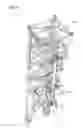 Fig. 15 - Cylinder Retraction System, Boom Device and Crawler Crane