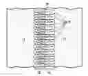 Fig. 01 - Pulse spread laser