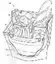 Fig. 01 - Reusable and disposable grocery bags