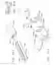 Fig. 189 - Fastener cartridge comprising a tissue thickness compensator and a gap setting element