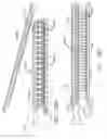 Fig. 210 - Fastener cartridge comprising a tissue thickness compensator and a gap setting element