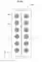 Fig. 72 - RFID tag, RFID system, and package including RFID tag