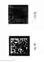 Fig. 09 - Ultrasonic imaging apparatus for reading and decoding machine-readable matrix symbols