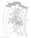 Fig. 01 - Fluid line clamp