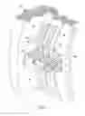 Fig. 02 - Fluid line clamp