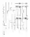 Fig. 04 - Solid-state imaging device having plural reset devices for resetting signal lines