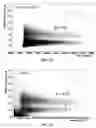 Fig. 09 - Compounds for neutron radiation detectors and systems thereof