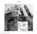 Fig. 02 - NANOROD AND METHOD OF MANUFACTURING THE SAME