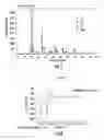 Fig. 07 - Composite materials of nano-dispersed silicon and tin and methods of making the same