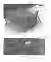 Fig. 09 - Freestanding force protection system