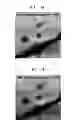 Fig. 09 - Insulating sheet having heterogeneous laminated structure, method of manufacturing the same, and transistor including the insulating sheet