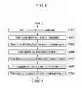 Fig. 02 - ORGANIC LIGHT EMITTING DIODE DISPLAY AND METHOD FOR MANUFACTURING ORGANIC LIGHT EMITTING DIODE DISPLAY