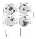 Fig. 09 - Deposited material and method of formation
