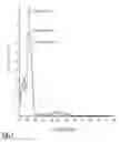 Fig. 02 - Gel Having Improved Thermal Stability