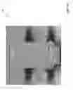 Fig. 52 - Ski Article