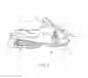 Fig. 02 - Snowmobile and suspension assembly therefor