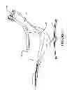 Fig. 06 - Chair and supports