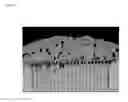 Fig. 07 - Ceramic electronic component and glass paste