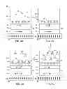 Fig. 04 - Magnetic biomedical sensors and sensing system for high-throughput biomolecule testing