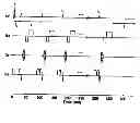 Fig. 01 - Quantifying magnetic resonance parameters