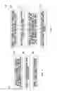 Fig. 08 - Method and tool for directional electromagnetic well logging