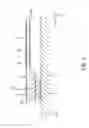 Fig. 05 - Resonator element, resonator, oscillator, electronic apparatus, and moving object