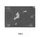Fig. 04 - Rare earth based magnet