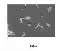 Fig. 05 - Rare earth based magnet