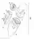 Fig. 08 - Apparatuses, systems, and methods for storing and dispensing medication proximate a patient