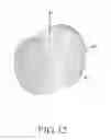 Fig. 07 - Antenna device and electronic device including the antenna device