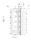 Fig. 07 - Display device and optical touch system including the same
