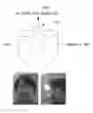 Fig. 05 - Stereoscopic image display device and method for driving the same