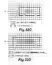 Fig. 43 - Image display device