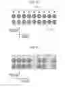 Fig. 08 - Label production apparatus and label production method