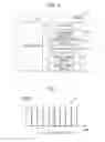 Fig. 07 - Printing apparatus and printing method