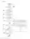 Fig. 08 - Liquid ejection apparatus